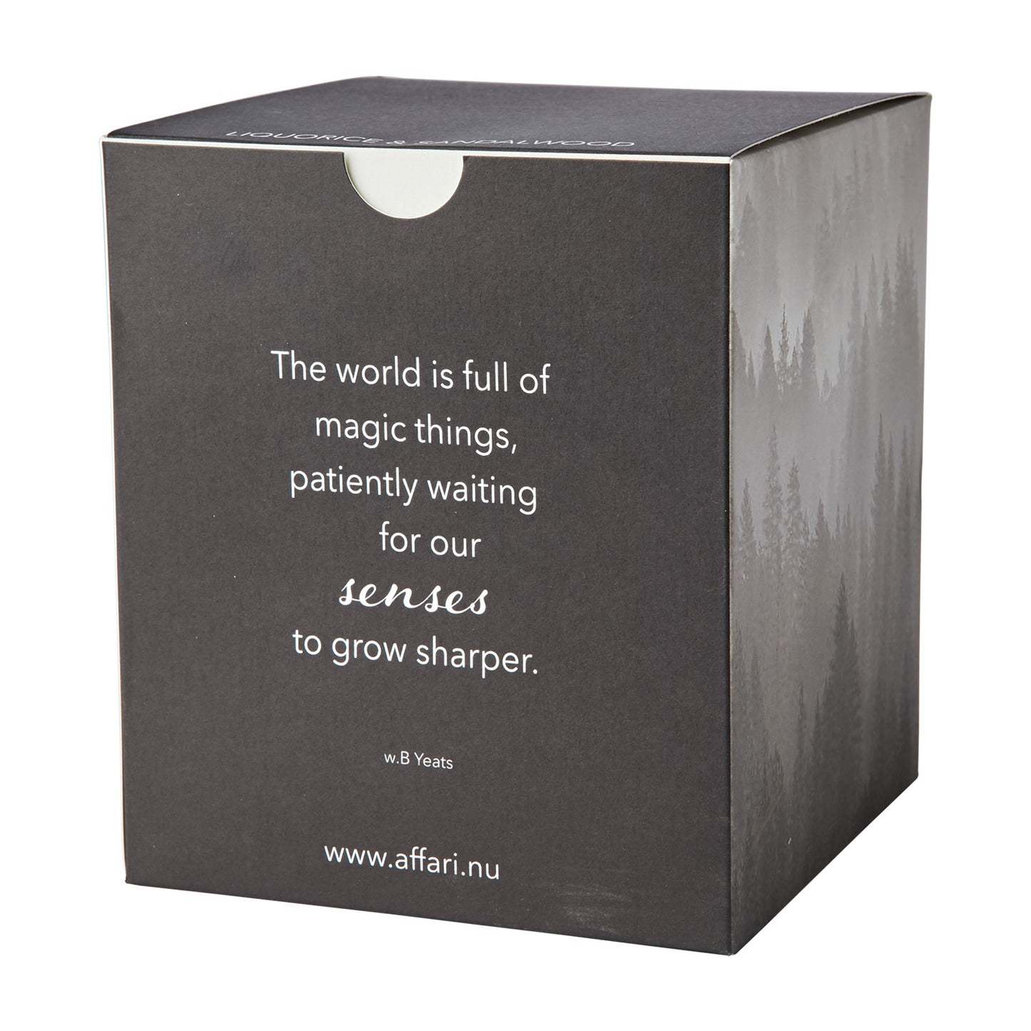SENSE Doftljus Liquorice & sandalwood, Svart