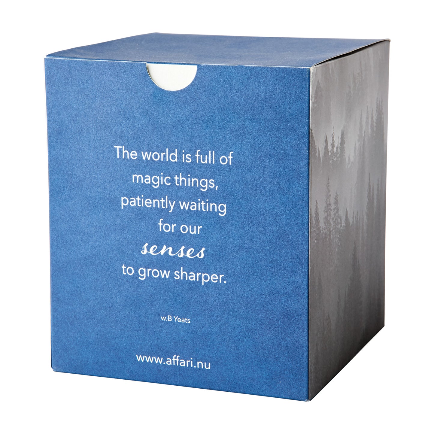 SENSE Doftljus Suit & tie, Mörkblå