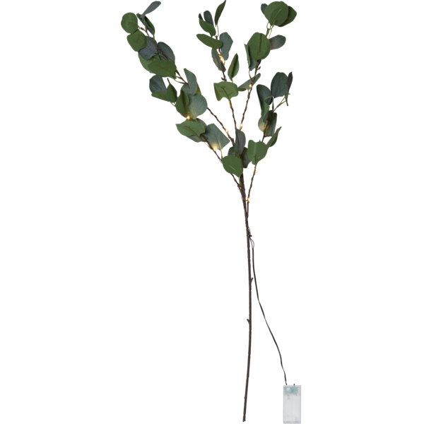 LED Dekorationskvist Eucalyptus