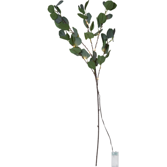 LED Dekorationskvist Eucalyptus